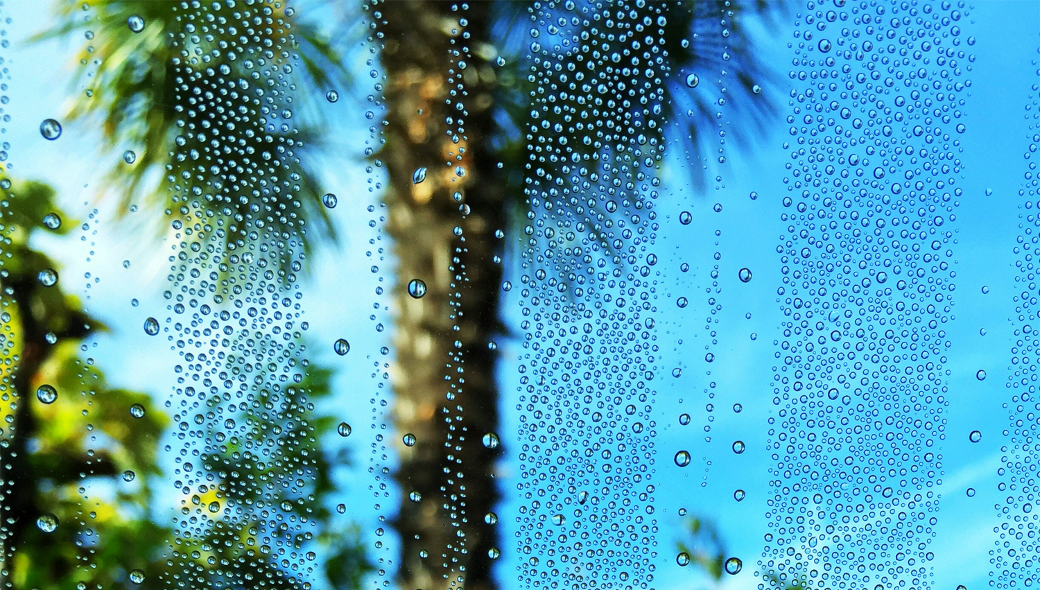 why are my windows sweating